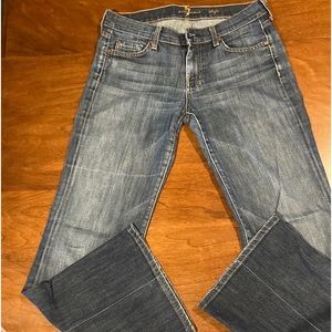 7 for all mankind dojo size 29